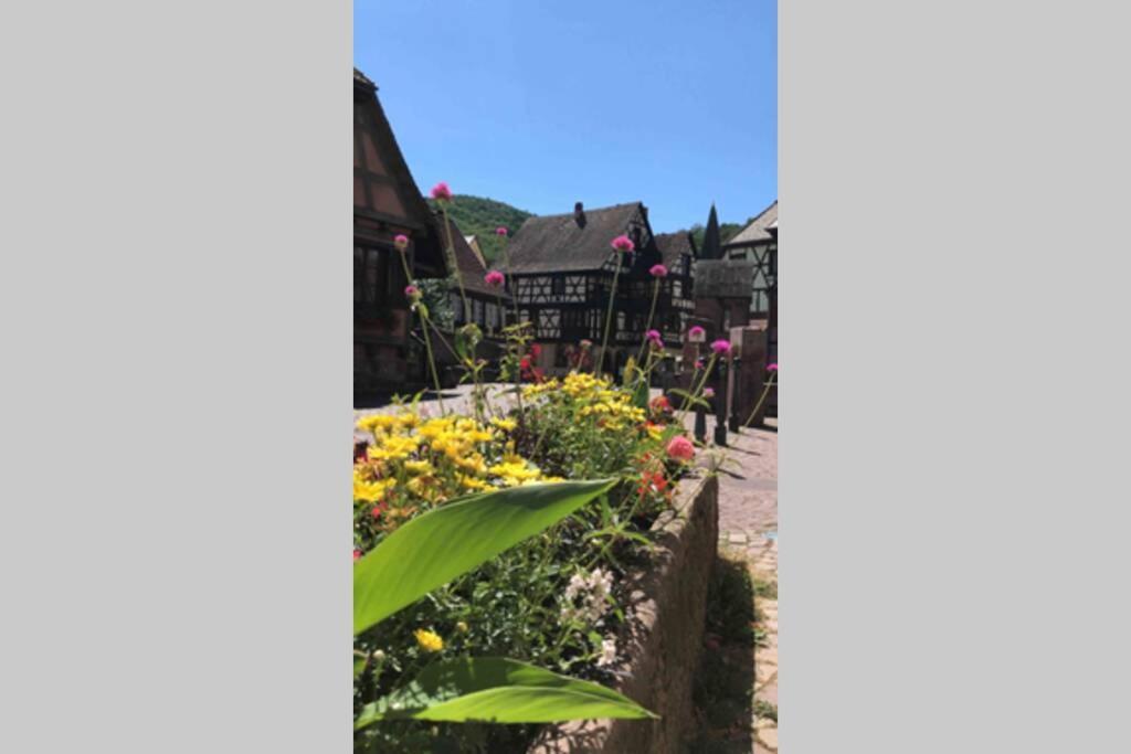 Coeur Alsace Apartment Colmar Ngoại thất bức ảnh