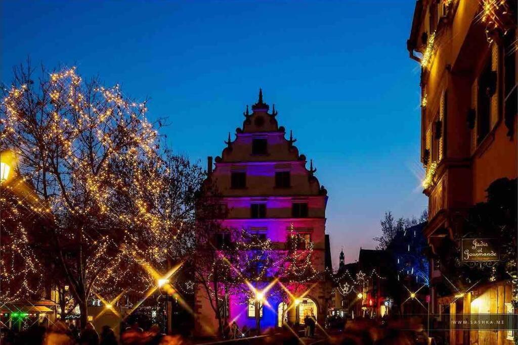 Coeur Alsace Apartment Colmar Ngoại thất bức ảnh