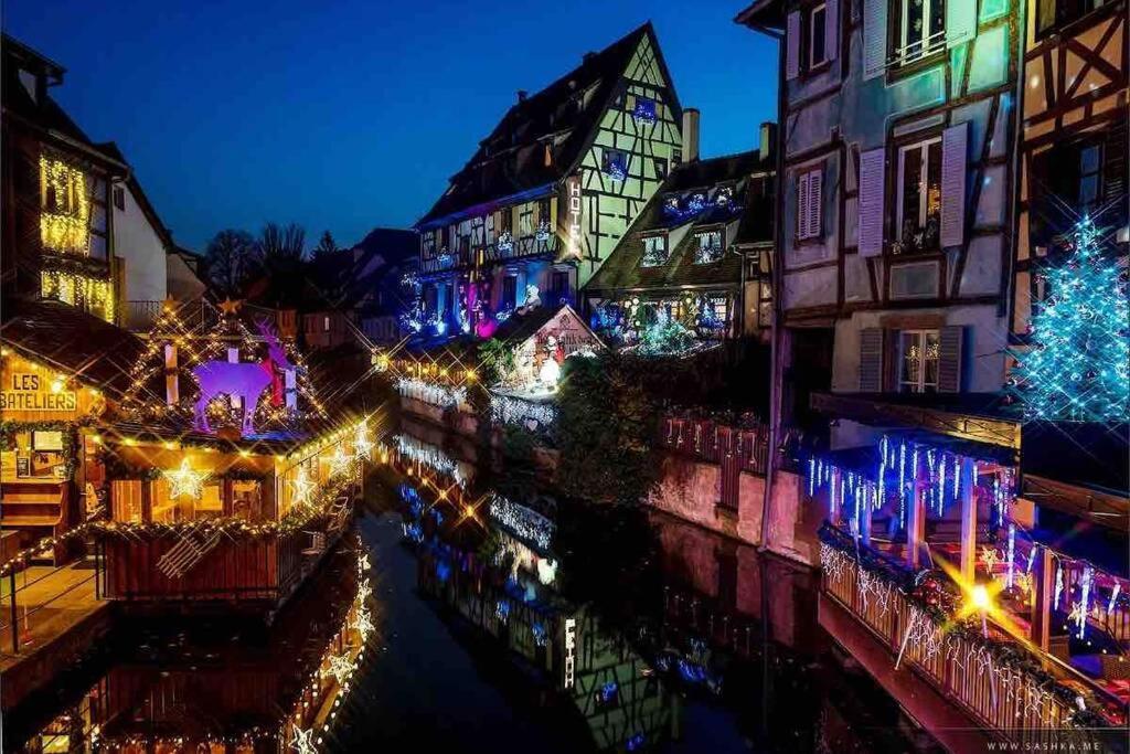 Coeur Alsace Apartment Colmar Ngoại thất bức ảnh