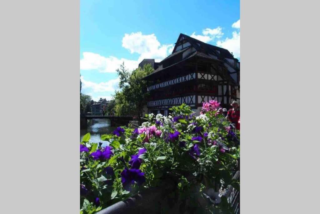 Coeur Alsace Apartment Colmar Ngoại thất bức ảnh