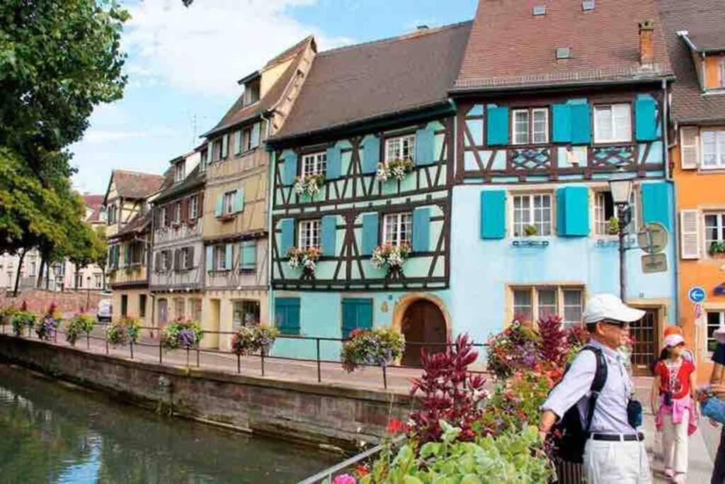 Coeur Alsace Apartment Colmar Ngoại thất bức ảnh