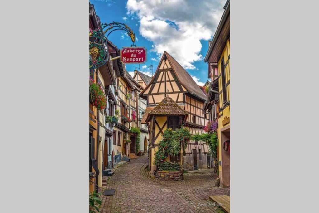 Coeur Alsace Apartment Colmar Ngoại thất bức ảnh