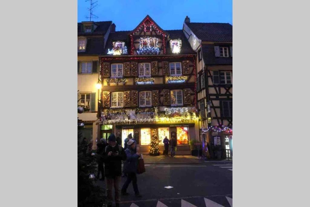 Coeur Alsace Apartment Colmar Ngoại thất bức ảnh