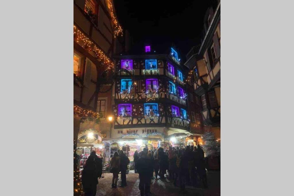 Coeur Alsace Apartment Colmar Ngoại thất bức ảnh