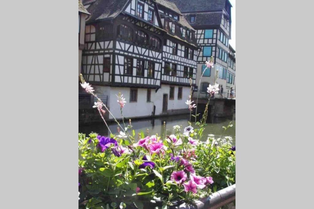 Coeur Alsace Apartment Colmar Ngoại thất bức ảnh