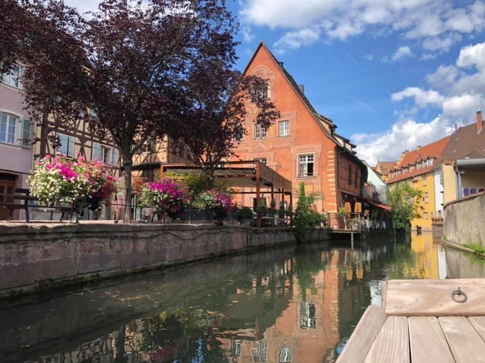 Coeur Alsace Apartment Colmar Ngoại thất bức ảnh