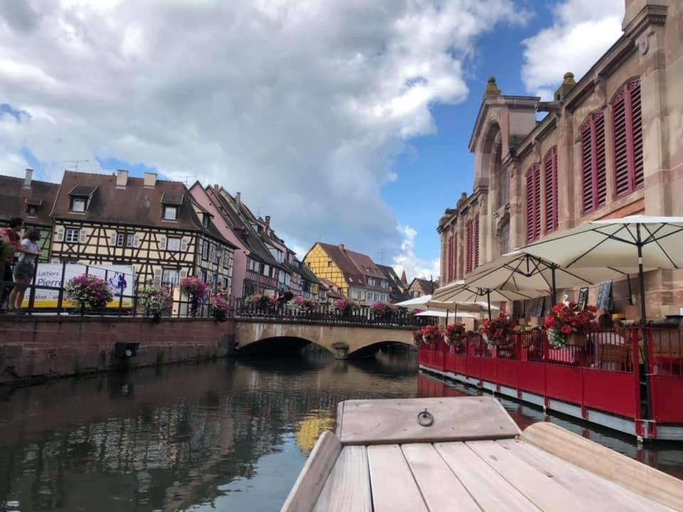 Coeur Alsace Apartment Colmar Ngoại thất bức ảnh
